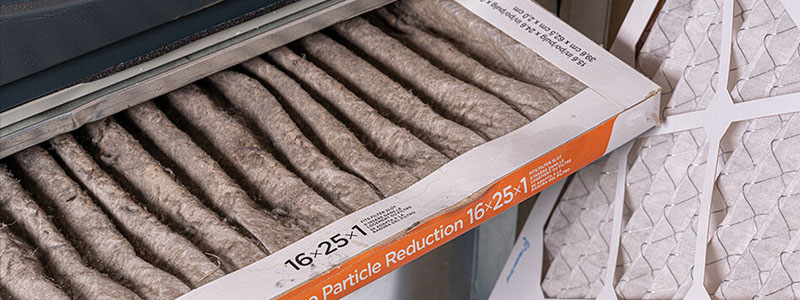 Air Filter Replacement in Action